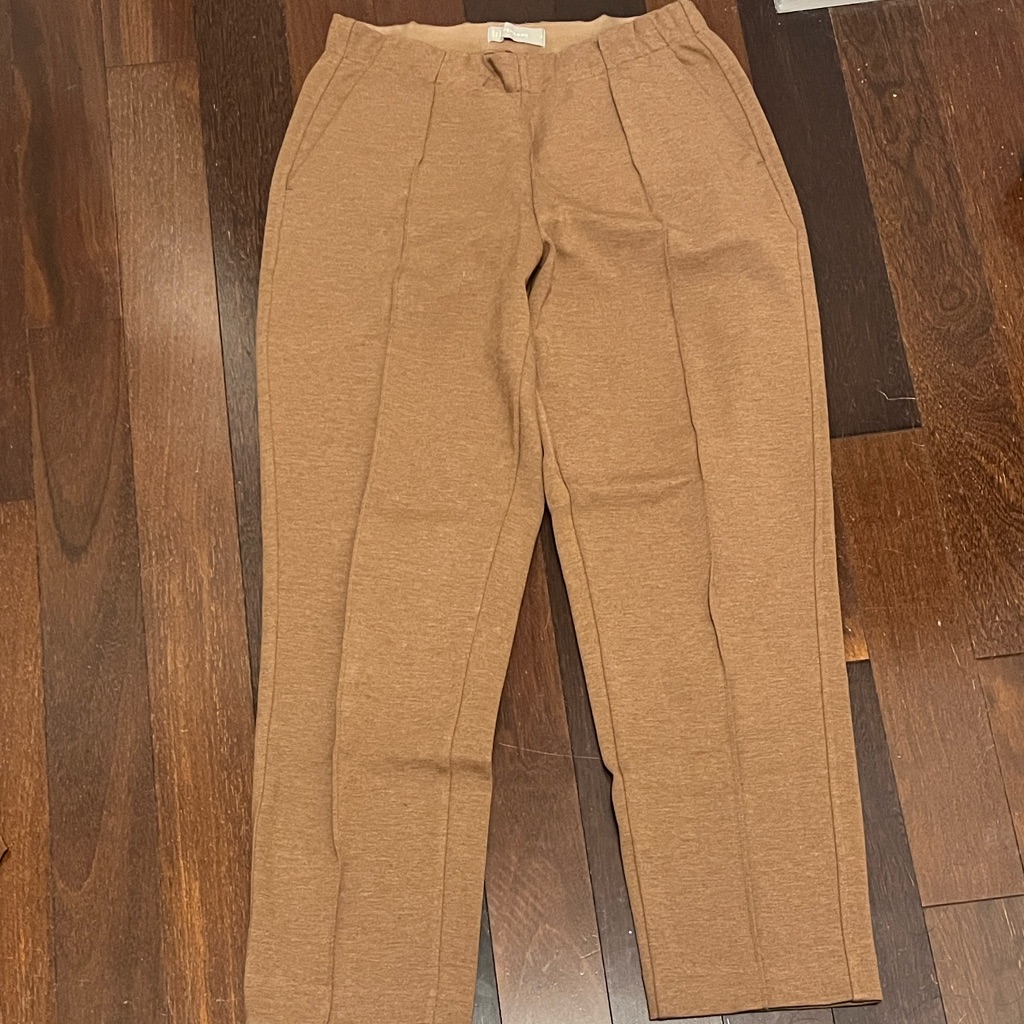 Everlane The Dream Pant In Auburn